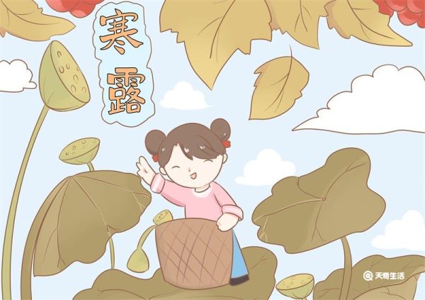 寒露儿童简笔画 寒露儿童简笔画简洁