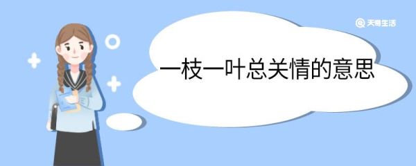 一枝一叶总关情的意思 一枝一叶总关情什么意思