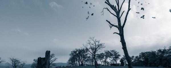 月落乌啼霜满天描写什么季节 《枫桥夜泊》原文