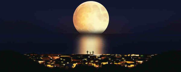 杜甫月夜翻译并赏析 杜甫的《月夜》翻译