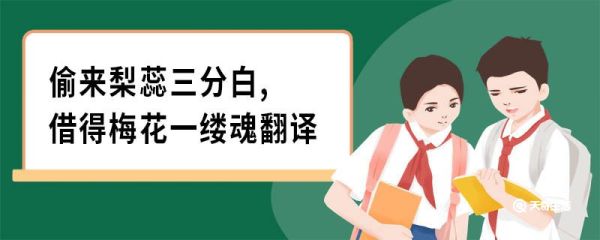 偷来梨蕊三分白,借得梅花一缕魂翻译 咏白海棠原文