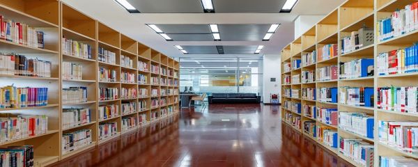 西藏大学录取分数线2022 西藏大学2022年部分地区普通本科录取分数线