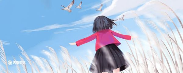 青春无悔不负韶华的意思 青春无悔不负韶华的出处
