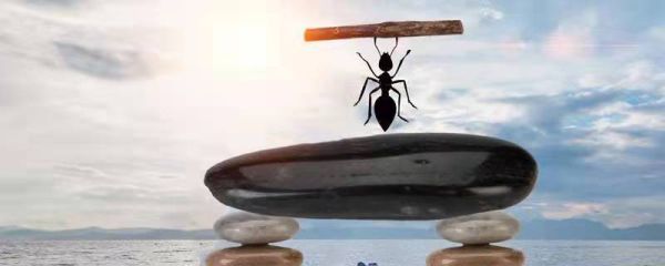 蚂蚁和草虫告诉我们什么道理	 蚂蚁和草虫告诉我们一个什么道理