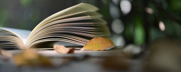 少小离家老大回 全诗 回乡偶书二首·其一翻译