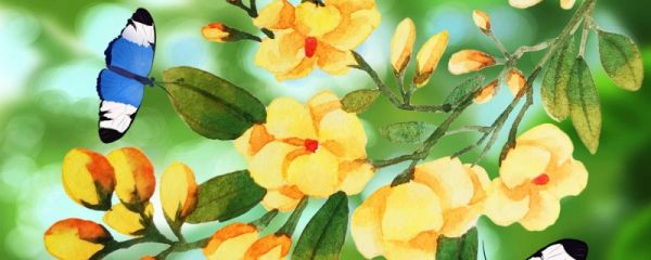 描写春天景物的短句子 关于春天景物的短句子