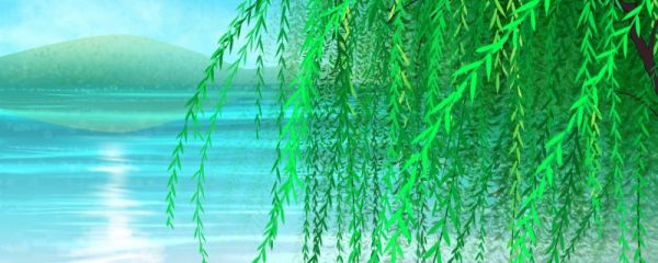 咏柳古诗原文及翻译赏析 咏柳古诗原文和翻译赏析