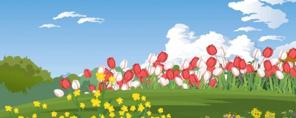 描写蓝天的优美句子 形容蓝天很美的句子