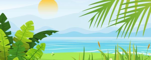 关于小暑的诗句 有关小暑的古诗