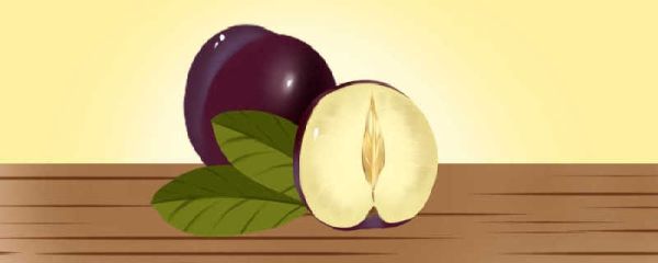 关于李子的诗句 李子的诗句