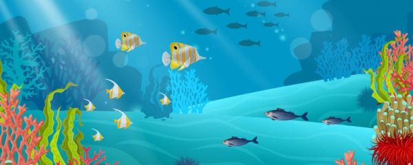 含鱼的诗句 含鱼的诗句有哪些