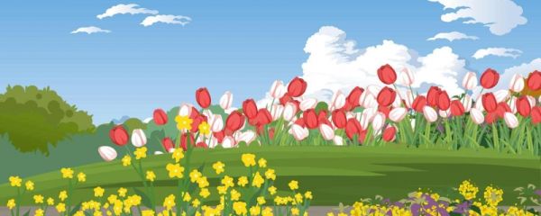 描写春夏秋冬的好句子有哪些 关于描写春夏秋冬的句子