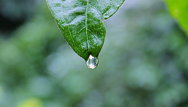 重力的三要素是什么 重力的三要素是什么啊