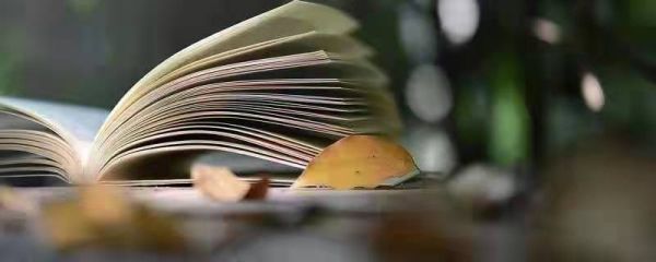 乌有先生历险记翻译与注释 乌有先生历险记注释及翻译是