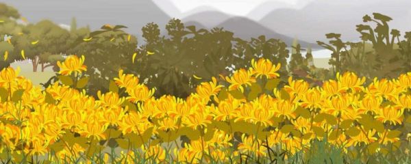 描写菊花的古诗大全 描写菊花的诗句