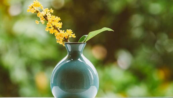 这里的桂花再香也比不上家乡院子里的桂花改为反问句 这里的桂花再香也比不上家乡院子里的桂花如何改为反问句