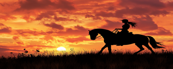 枯藤老树昏鸦的全诗意思 枯藤老树昏鸦是哪一首诗