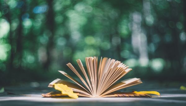 郑振铎主要著作有哪些 郑振铎主要著作有什么