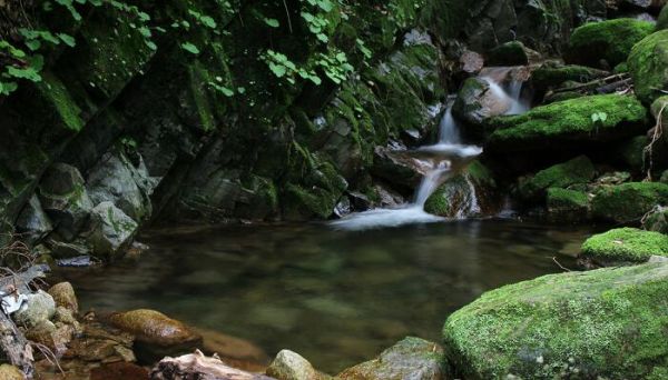 小石潭记朗读 小石潭记的朗读