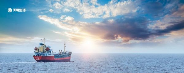 轮船是什么动物的启发发明的 轮船是通过什么动物发明的