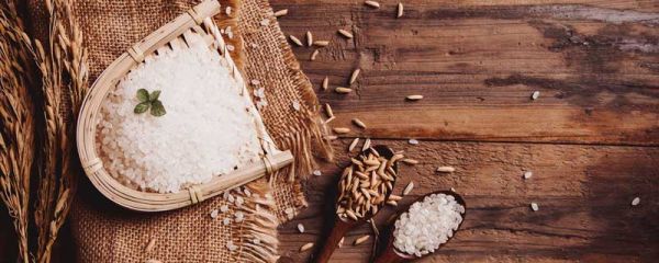 四肢不勤,五谷不分翻译 四体不勤五谷不分翻译