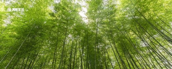 山居秋暝中竹喧的意思 山居秋暝中竹喧是什么意思