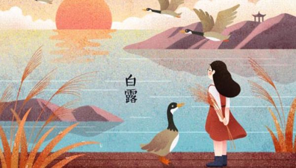 用一句话概括蒹葭的内容；用一句话概括蒹葭的内容是什么