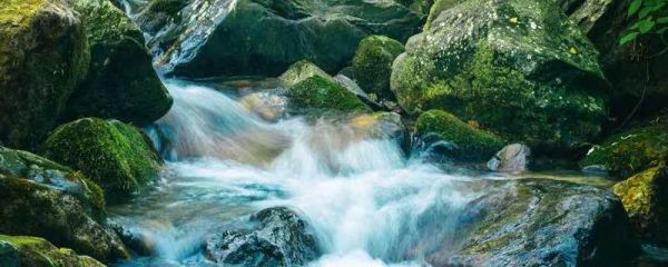 奔迸的什么填空 奔迸的什么填合适的词语