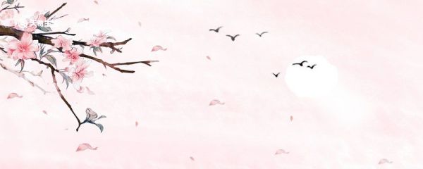 桃李满天下的下一句 桃李满天下的下一句是什么意思