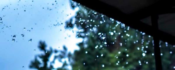 雨,好像停了出自哪里 雨，好像停了是哪个的