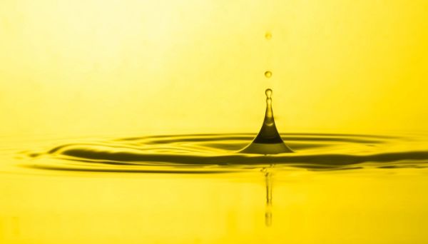 脂溶性物体有哪些