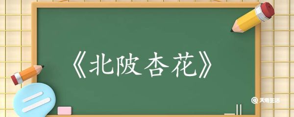 北陂杏花古诗翻译赏析 北陂杏花古诗的翻译赏析