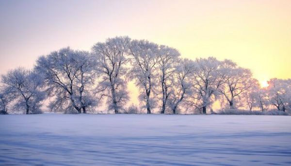 从军行朗读视频 从军行的朗读