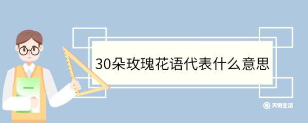 30朵玫瑰花语代表什么意思 玫瑰的花期是什么时候