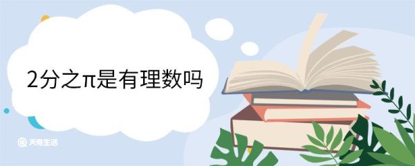 2分之π是有理数吗 有理数的定义是什么