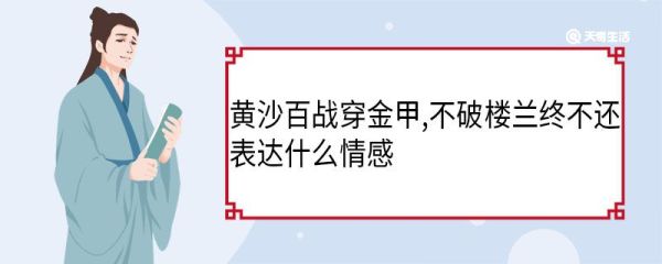 黄沙百战穿金甲,不破楼兰终不还表达什么情感