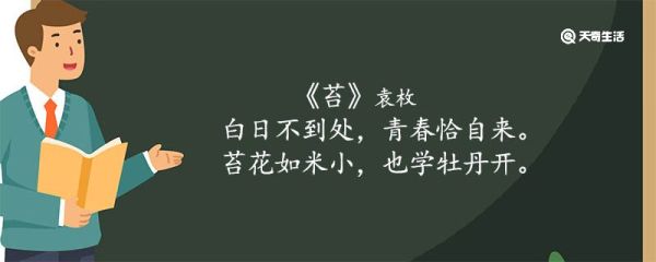 苔古诗的意思翻译 苔古诗的意思