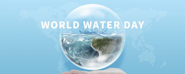 护绿口号 护绿口号有哪些