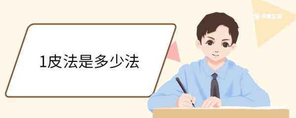 1皮法是多少法 法的单位换算