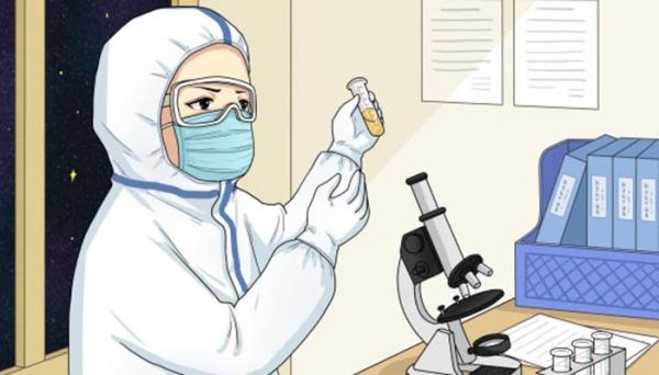 控制细菌主要遗传性状的是什么 控制细菌主要遗传性状的是啥