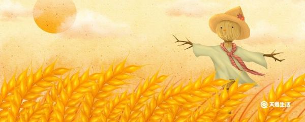 稻草人鸟言兽语的主要内容 我与地坛主要内容概括简单