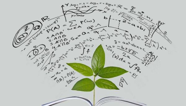 4分之3化成小数是多少 4分之3化成小数是几