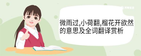 微雨过小荷翻榴花开欲然的意思及全词翻译赏析 微雨过小荷翻榴花开欲然的意思翻译