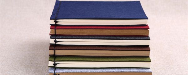 囊萤夜读 文言文二则 翻译  囊萤夜读文言文原文及翻译