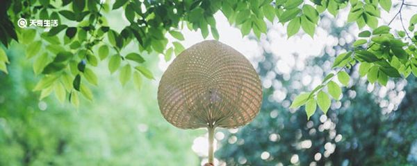 夏天的比喻句 夏天的比喻句有哪些