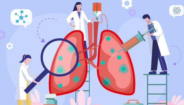 肺泡适于与血液进行气体交换的特点是 肺泡适于与血液进行气体交换的特点是什么