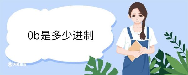 0b是多少进制 什么是二进制