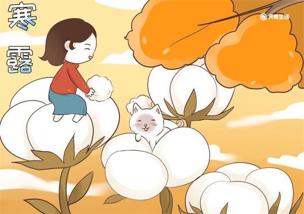 寒露节气儿童简笔画 寒露节气儿童简笔画简单