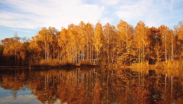 秋凉晚步全文带拼音 秋凉晚步全文带拼音标注