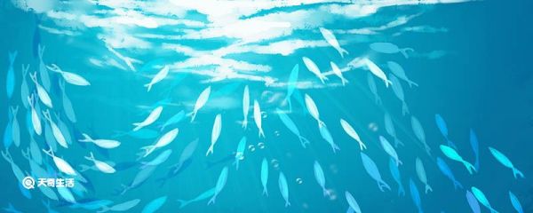 写鱼的比喻句 鱼的比喻句